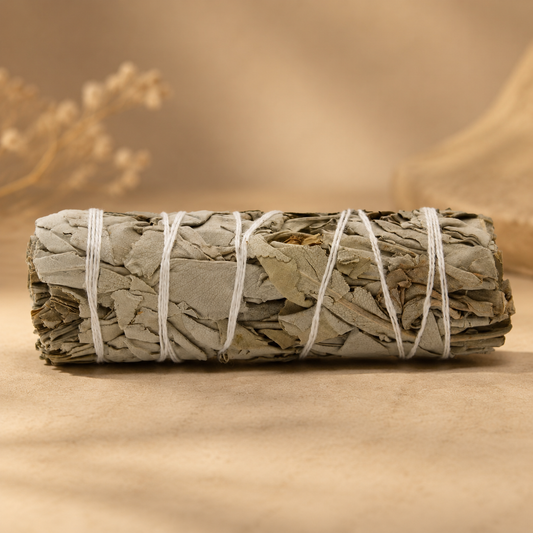 Witte Salie Smudge Stick – 10 cm