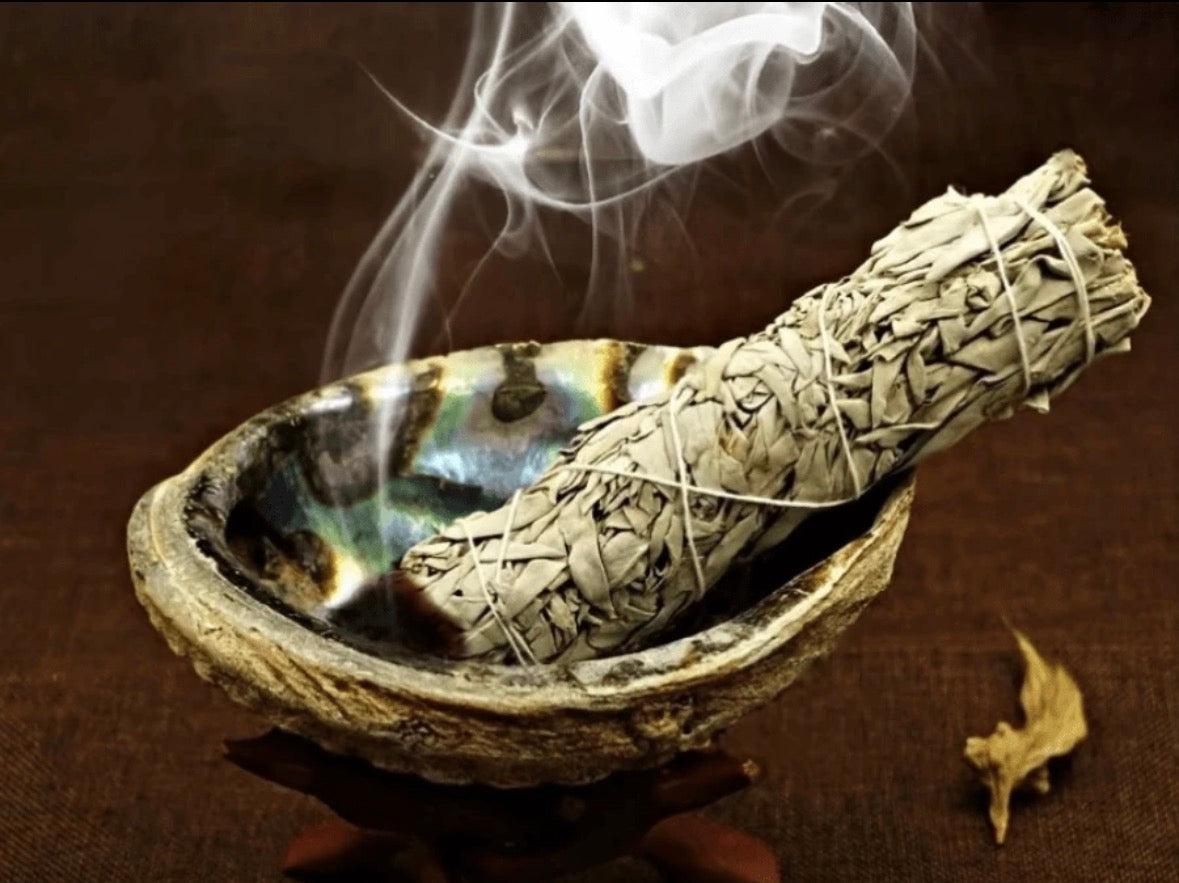 Abalone schelp, spiritueel & Ritueel (12-13cm)