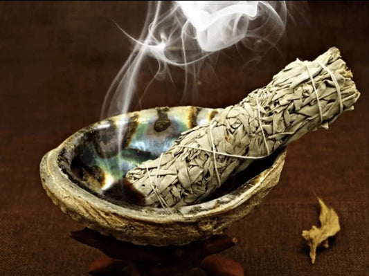 Abalone schelp, spiritueel & Ritueel (12-13cm)